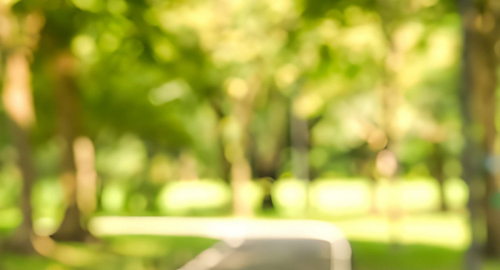 Quando il verde non basta: perch� a volte evitiamo i parchi urbani?